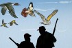 Popular markets in Gaza: passages for the disappearance of rare birds