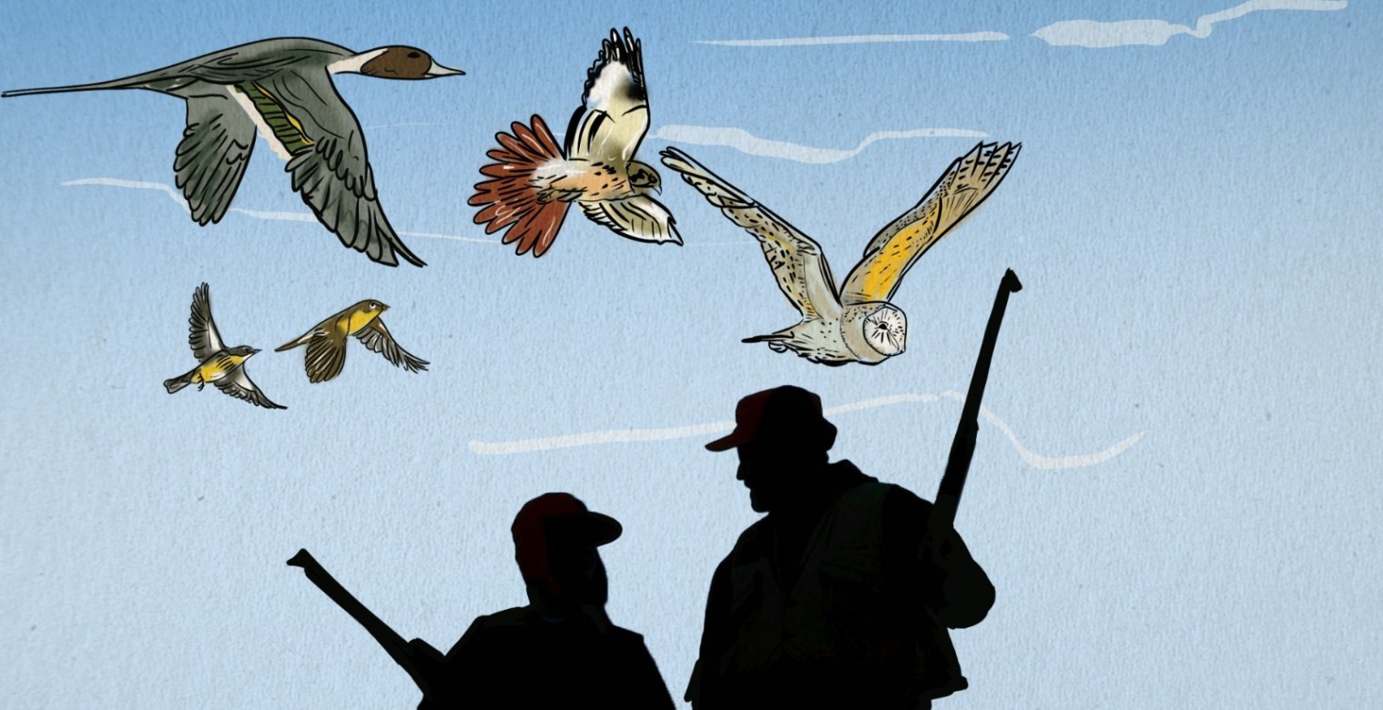 Popular markets in Gaza: passages for the disappearance of rare birds