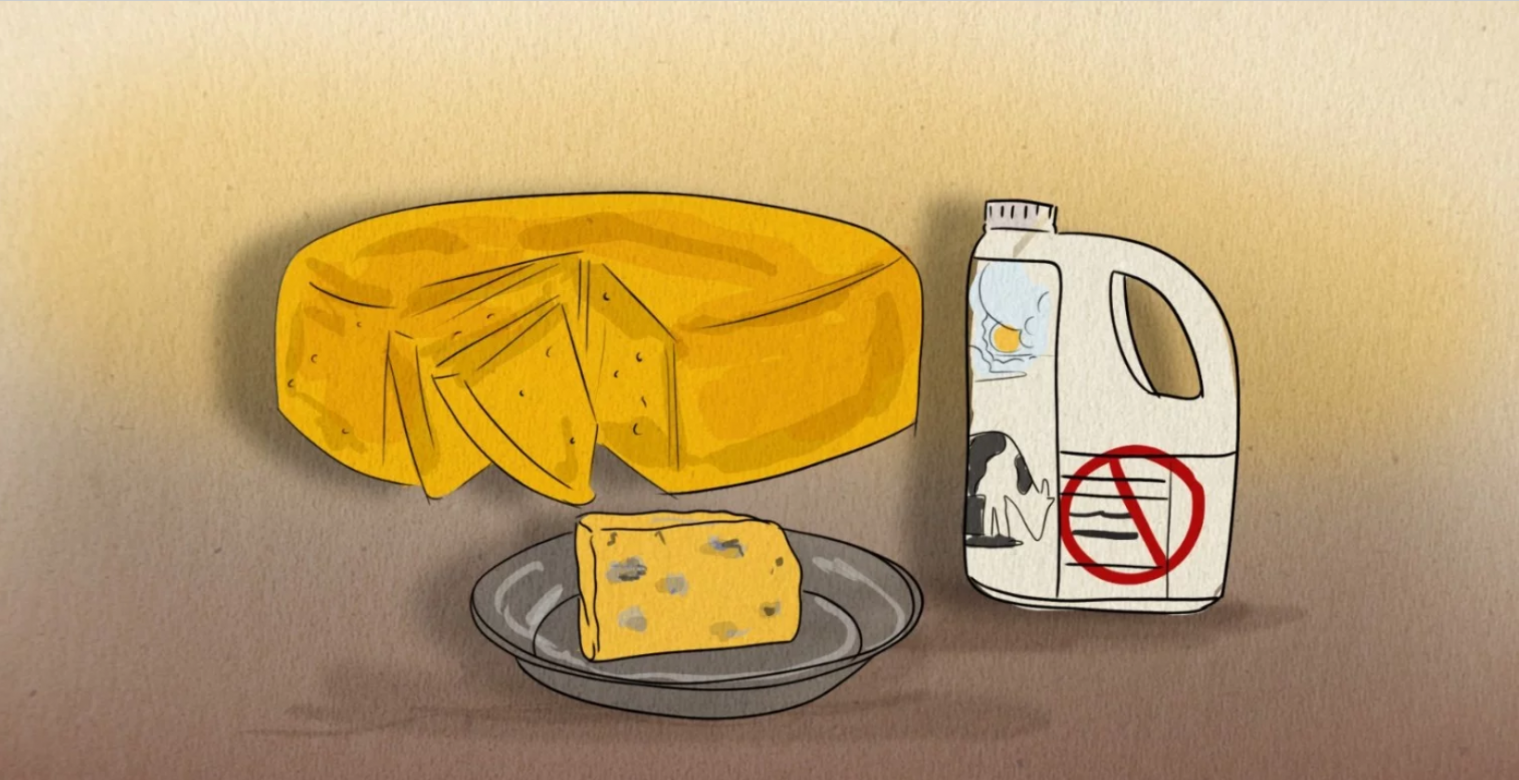 Rising Concerns: Citizens Demand Action Against Spoiled Dairy Products in Gaza Strip